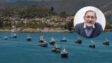 “Decisiones políticas más que técnicas”: Ciro Oyarzún de comités científicos por ley de fraccionamiento