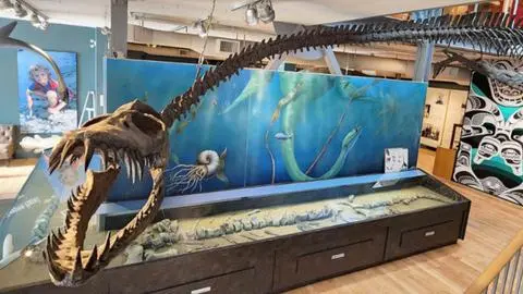 Nueva especie de reptil marino prehistórico recibe su nombre tras décadas de misterio