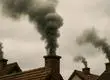 Preemergencia ambiental en Concepción: Viviendas han sido fiscalizadas por emisión de humos visibles