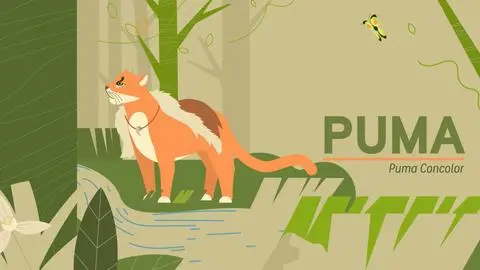 Podcast “Voces del Bosque”: El linaje y la memoria del puma desde su propia voz