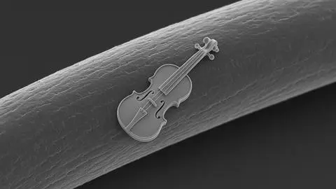 Más pequeño que el ancho de un cabello: Equipo de físicos creó un violín nanométrico