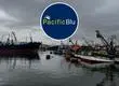 Congreso define nuevo fraccionamiento para la Merluza: PacificBlu desiste de cierre en Talcahuano