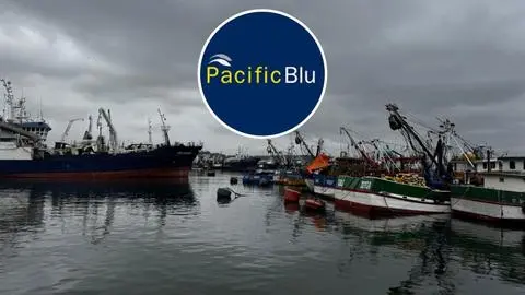 Congreso define nuevo fraccionamiento para la Merluza: PacificBlu desiste de cierre en Talcahuano