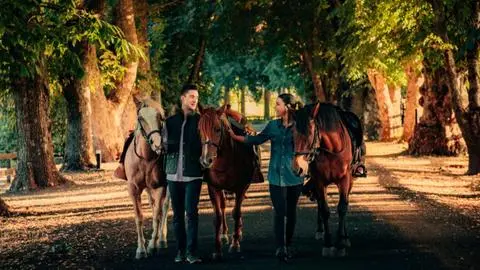 Gran Wolf, el hotel que busca redefinir el turismo rural de alto nivel en el sur de Chile