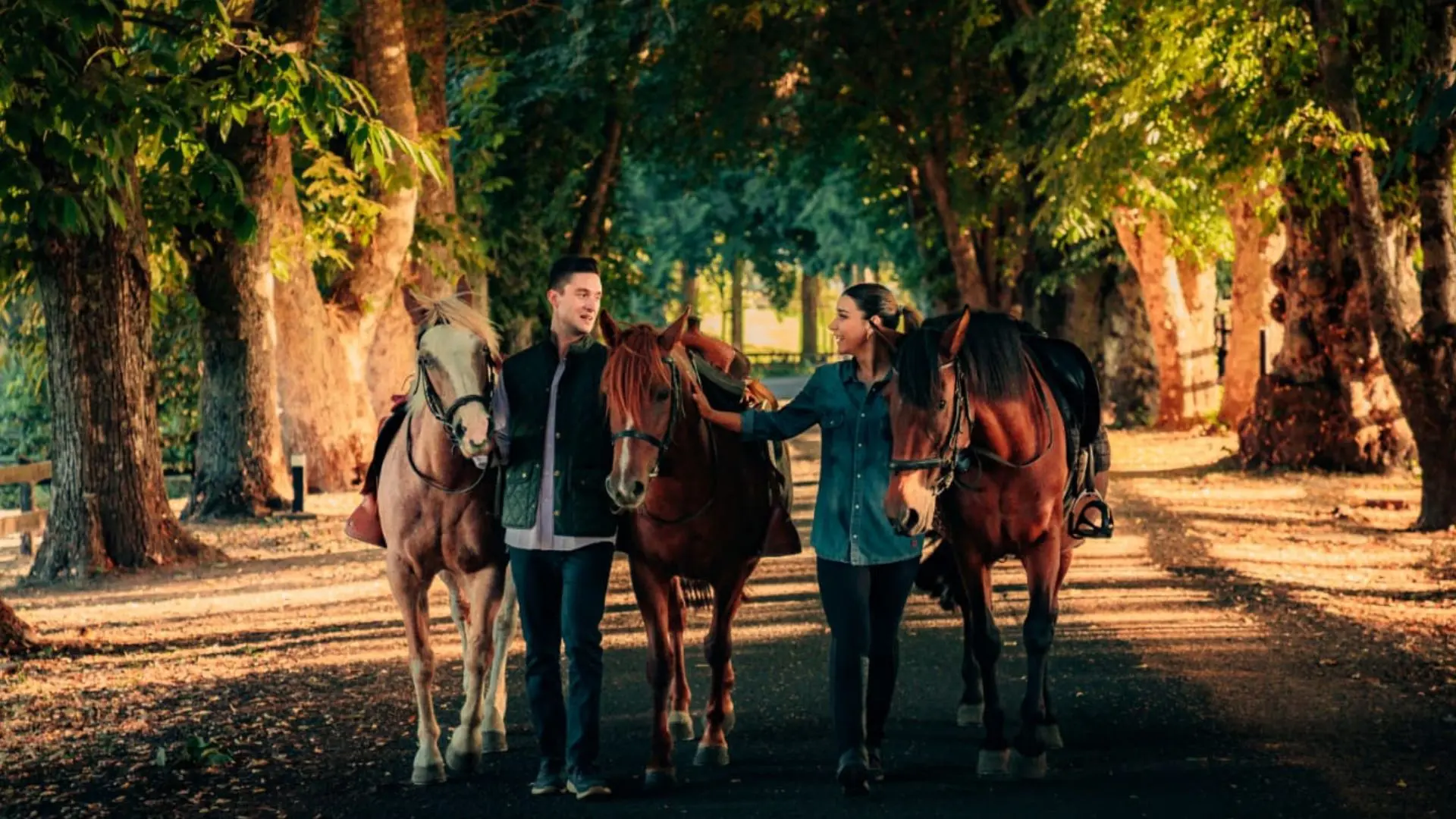 Gran Wolf, el hotel que busca redefinir el turismo rural de alto nivel en el sur de Chile