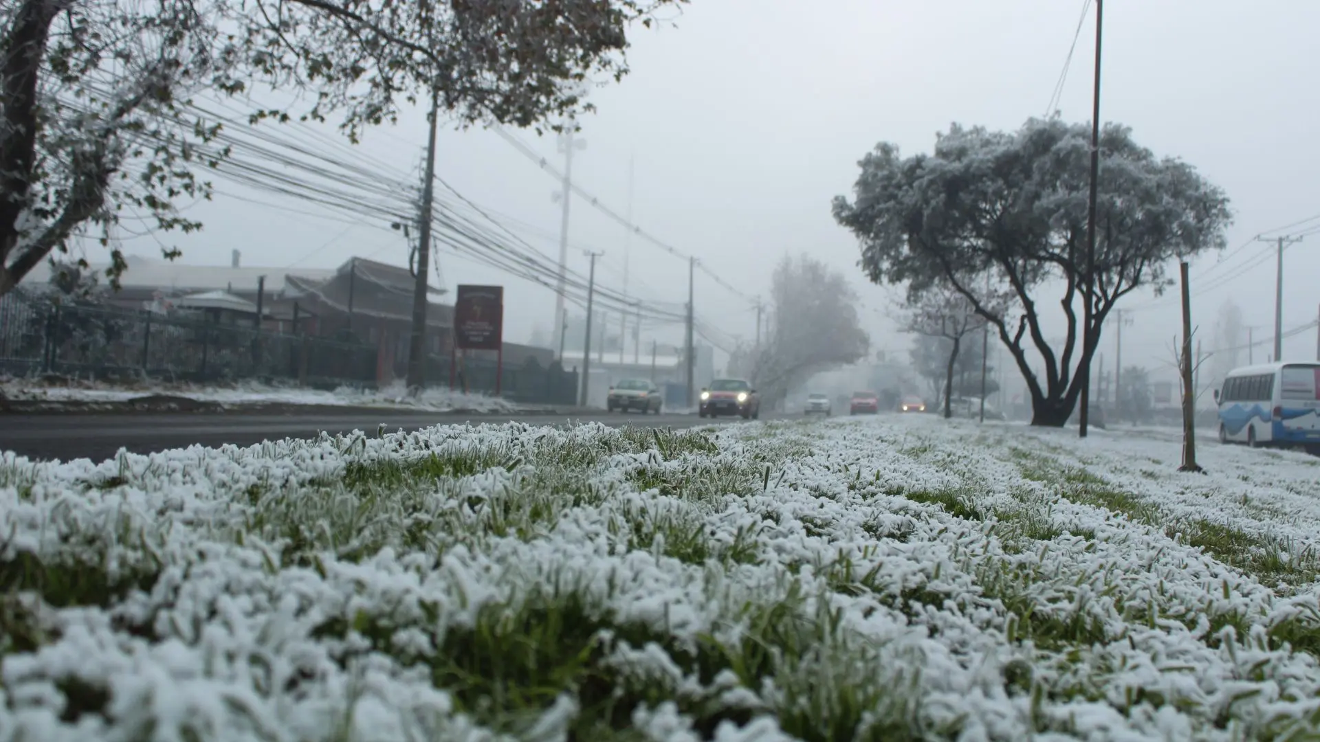 Pronostican nevadas en Chile este fin de semana: Estas zonas podrían amanecer cubiertas de blanco