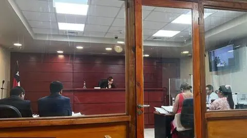 Condenan a tres años de libertad vigilada a ex jefe de gabinete de Dresdner por falsificación de instrumento público