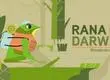 Ranita de Darwin en podcast “Voces del Bosque”: Vivir y croar en la selva valdiviana