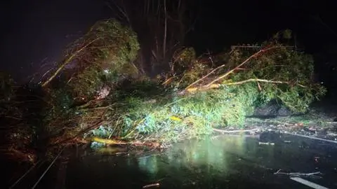 Cierran provisoriamente la Ruta de la Madera por el sistema frontal