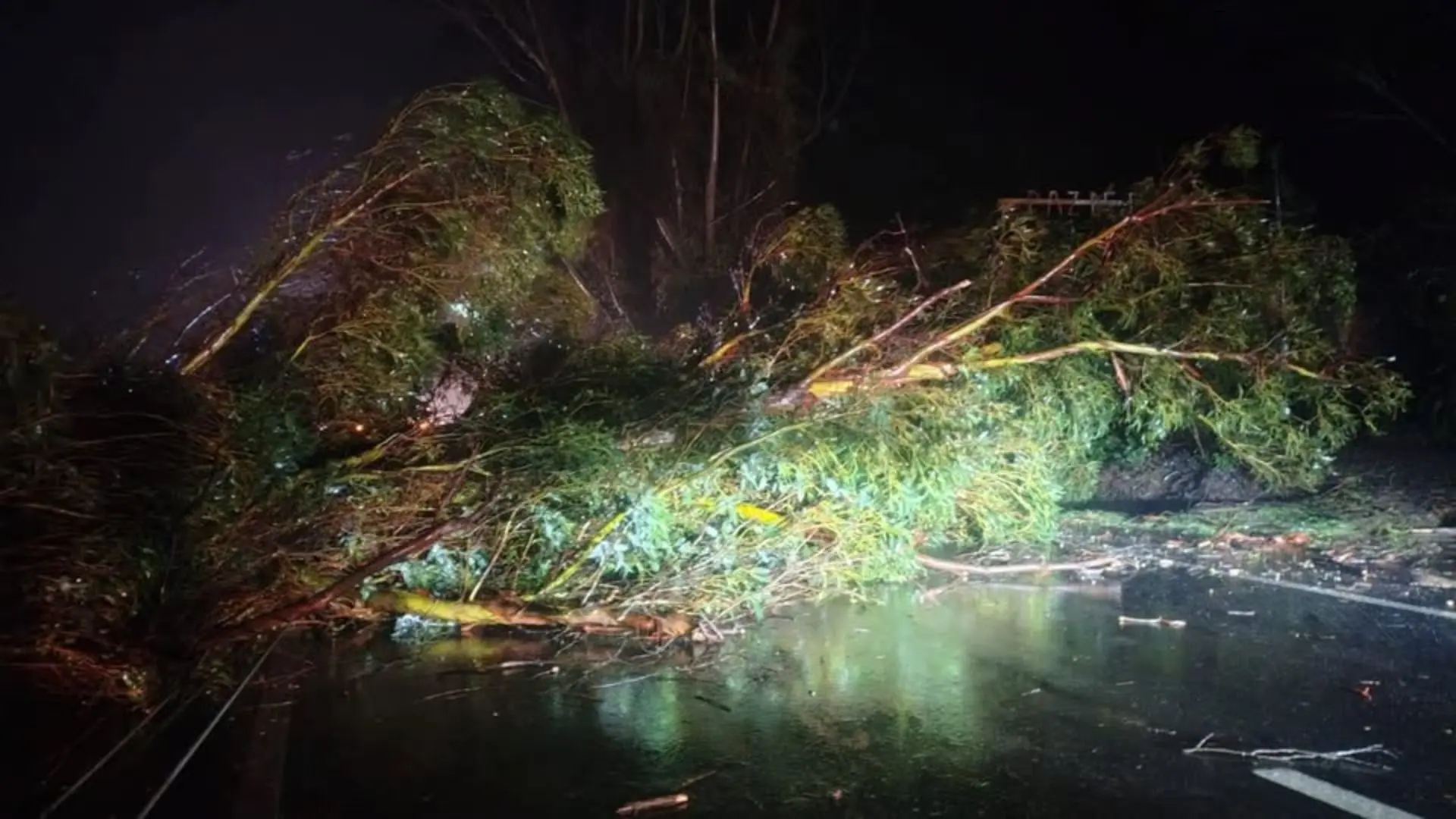 Cierran provisoriamente la Ruta de la Madera por el sistema frontal