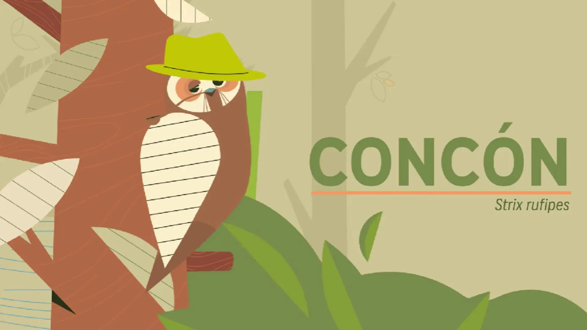Concón: El enigmático búho que merodea por el sur de Chile como un “brujo del bosque”