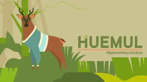 Voces del bosque: Matías Acevedo retrata a un huemul de la Patagonia en peligro de extinción