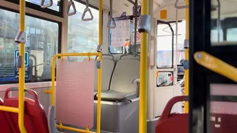 Cómo son los buses eléctricos de Ruta Las Playas que operarán en el Gran Concepción desde esta semana