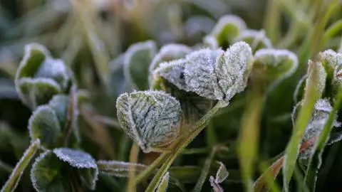 Las temperaturas descenderán a -6°C en el Biobío en los últimos días de junio