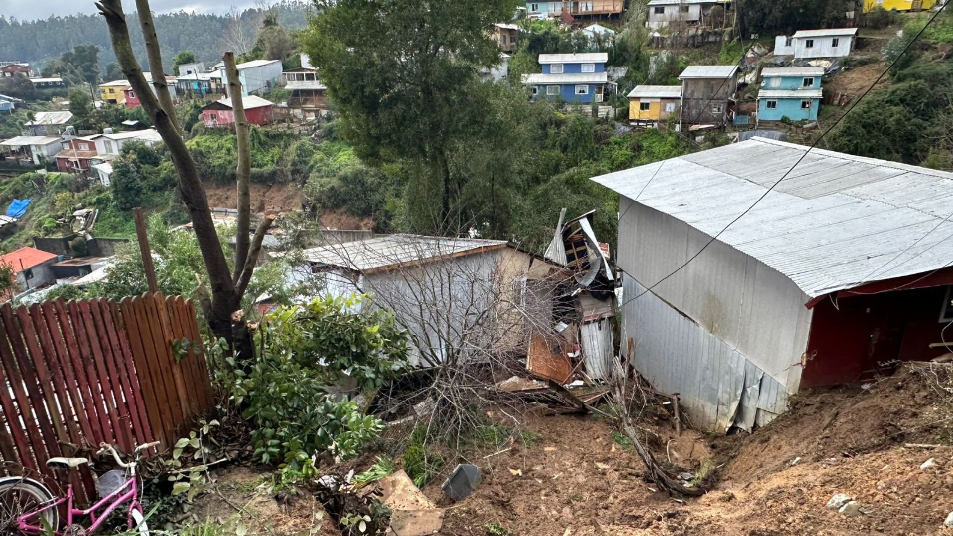 Más de 1.400 casas con daños deja sistema frontal en el Biobío: Cortes de luz se mantienen por 40 horas