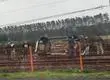 Problemas en los servicios de Biotren: Vehículo terminó volcado sobre las líneas tras choque en Coronel