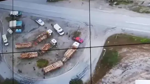 Inédito: Fiscalía formaliza a siete aserraderos de Biobío y La Araucanía por receptación de madera robada