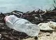Estudio revela los dos problemas más graves de gestión de basura en la Región del Biobío