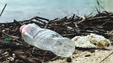 Estudio revela los dos problemas más graves de gestión de basura en la Región del Biobío