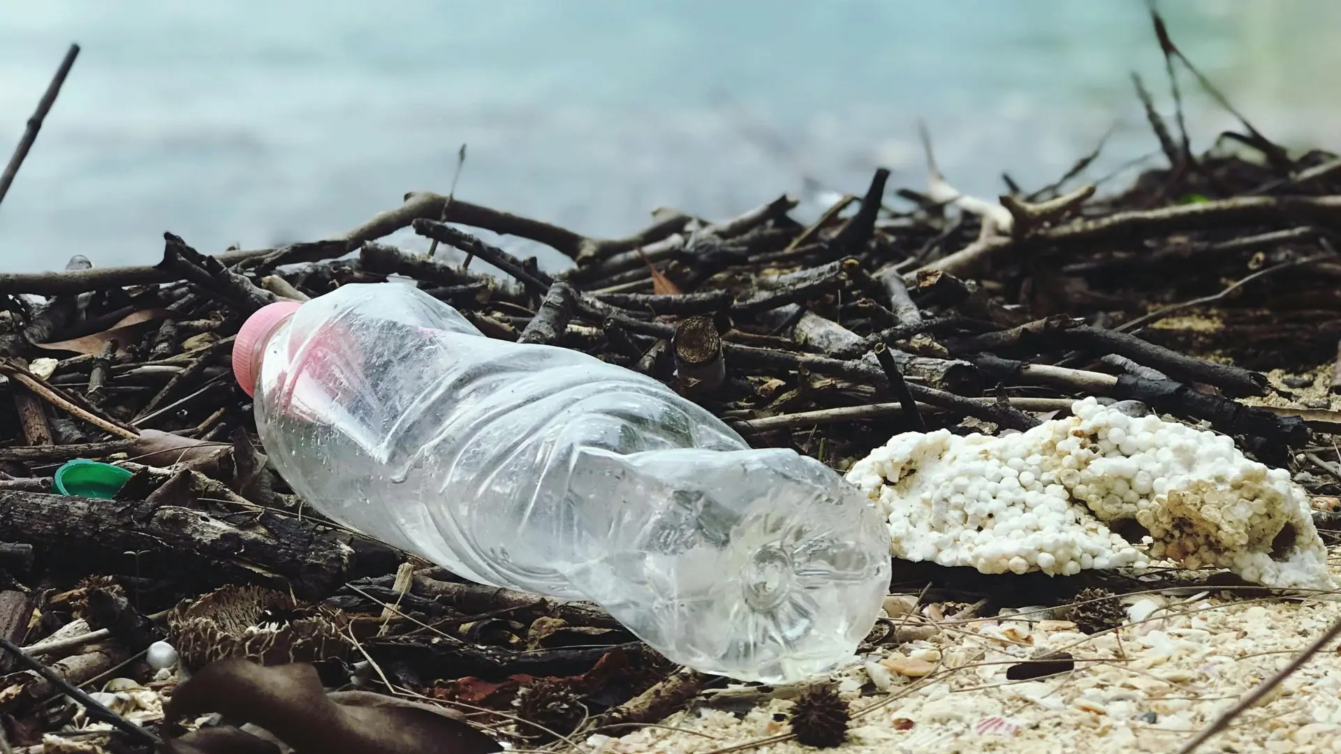 Estudio revela los dos problemas más graves de gestión de basura en la Región del Biobío