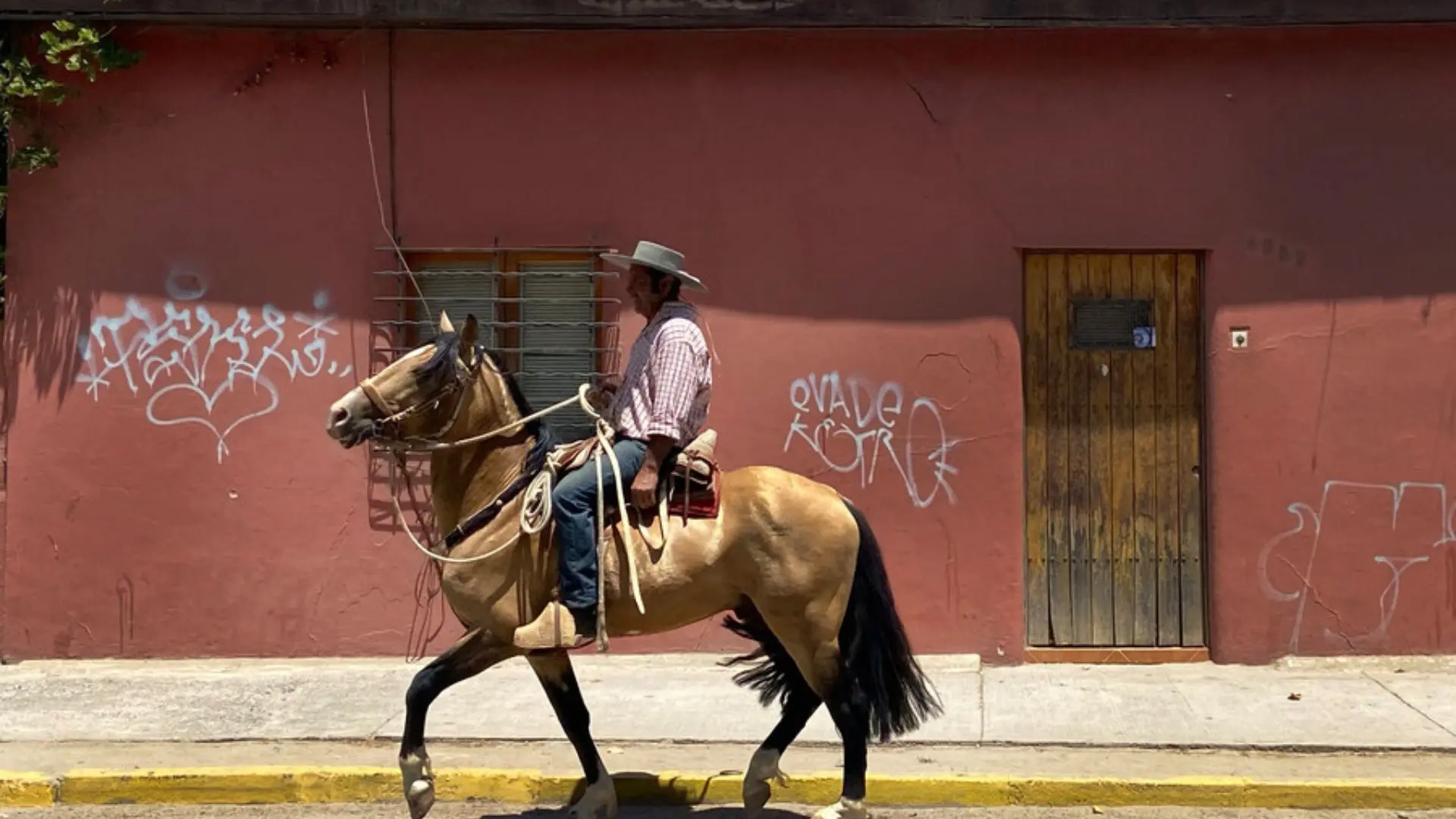 Jinete muere tras caer a pozo con su caballo en Chillán: El animal lo habría aplastado