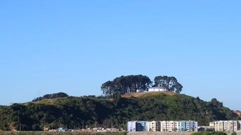 Municipalidad de Concepción inicia restauración ecológica de Cerro Chepe
