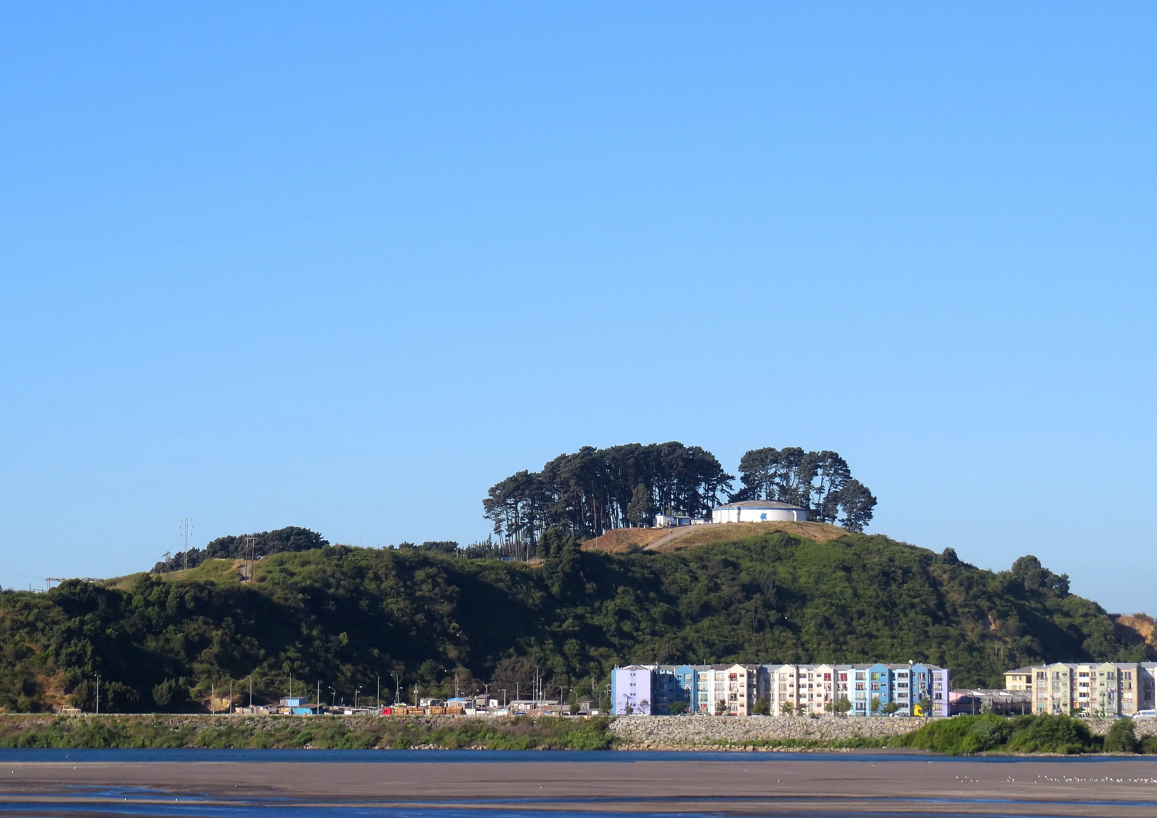 Municipalidad de Concepción inicia restauración ecológica de Cerro Chepe