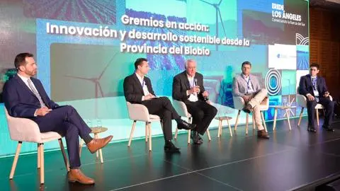 “Queremos invertir, pero es muy riesgoso”: Presidente de Corma por desafíos del sector forestal en el Biobío
