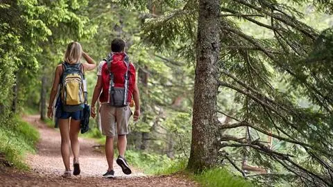 ¿Cómo afecta la naturaleza a tu cerebro?: Estos son los beneficios que el senderismo le puede traer a tu vida