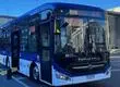 Personas en silla de ruedas pueden viajar gratis en buses eléctricos de línea Ruta Las Playas del Gran Concepción