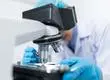 Estudio sobre tratamiento contra la leucemia: Combinación de dos fármacos elevaría tasa de supervivencia