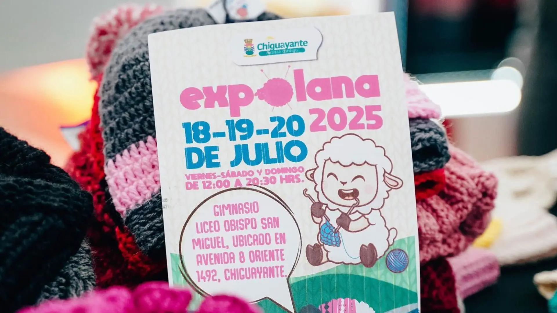 Expolana 2025 en Chiguayante: Nueva edición contará con artesanía, talleres, música y más