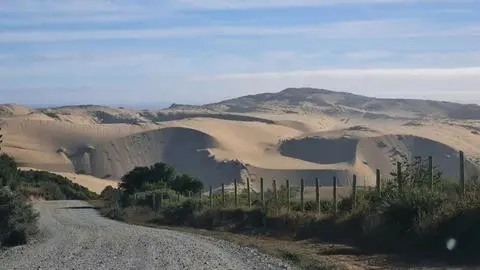 Un panorama diferente en el Biobío: Las dunas de Yani a 40 minutos de Arauco