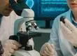 Científicos de Chile identifican genes en las uvas que permitirían crear nuevas variedades