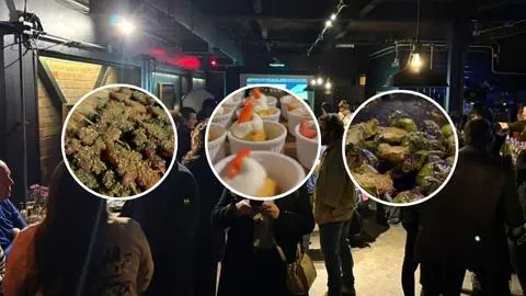 Prepárate para recibir el festival gastronómico más grande de Concepción: Conce al Plato