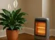 Conoce qué plantas resisten al calor de la calefacción de tu hogar