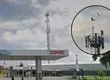 Video registra ave que muere tras quedar atrapada horas en céntrica antena telefónica de Concepción