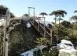 7 lugares increíbles para visitar en invierno en la Región del Biobío