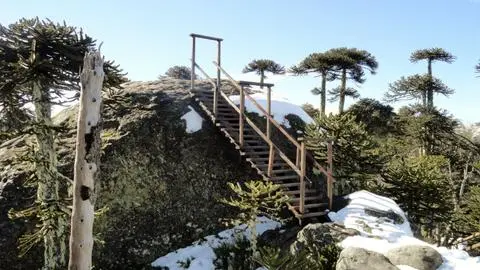 7 lugares increíbles para visitar en invierno en la Región del Biobío