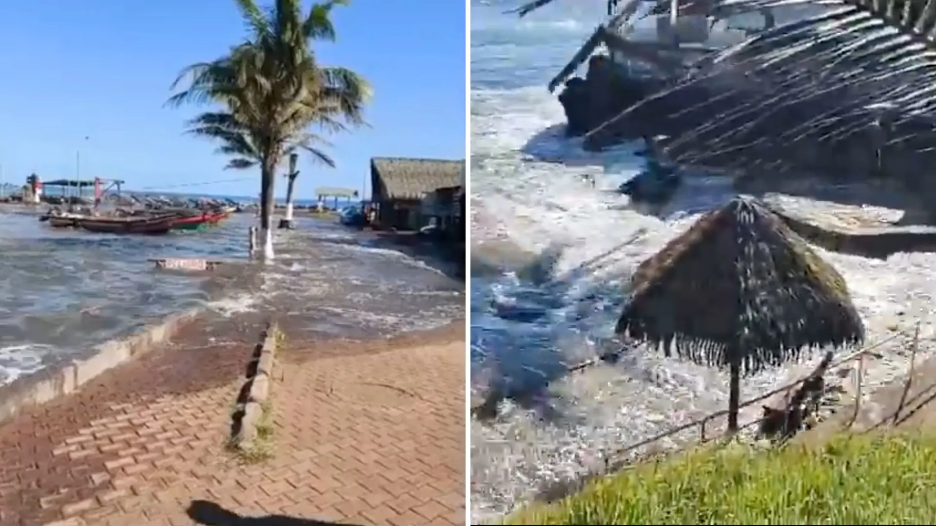 Registran cómo llegaron las olas a Rapa Nui: tsunami alcanza al menos 78 centímetros