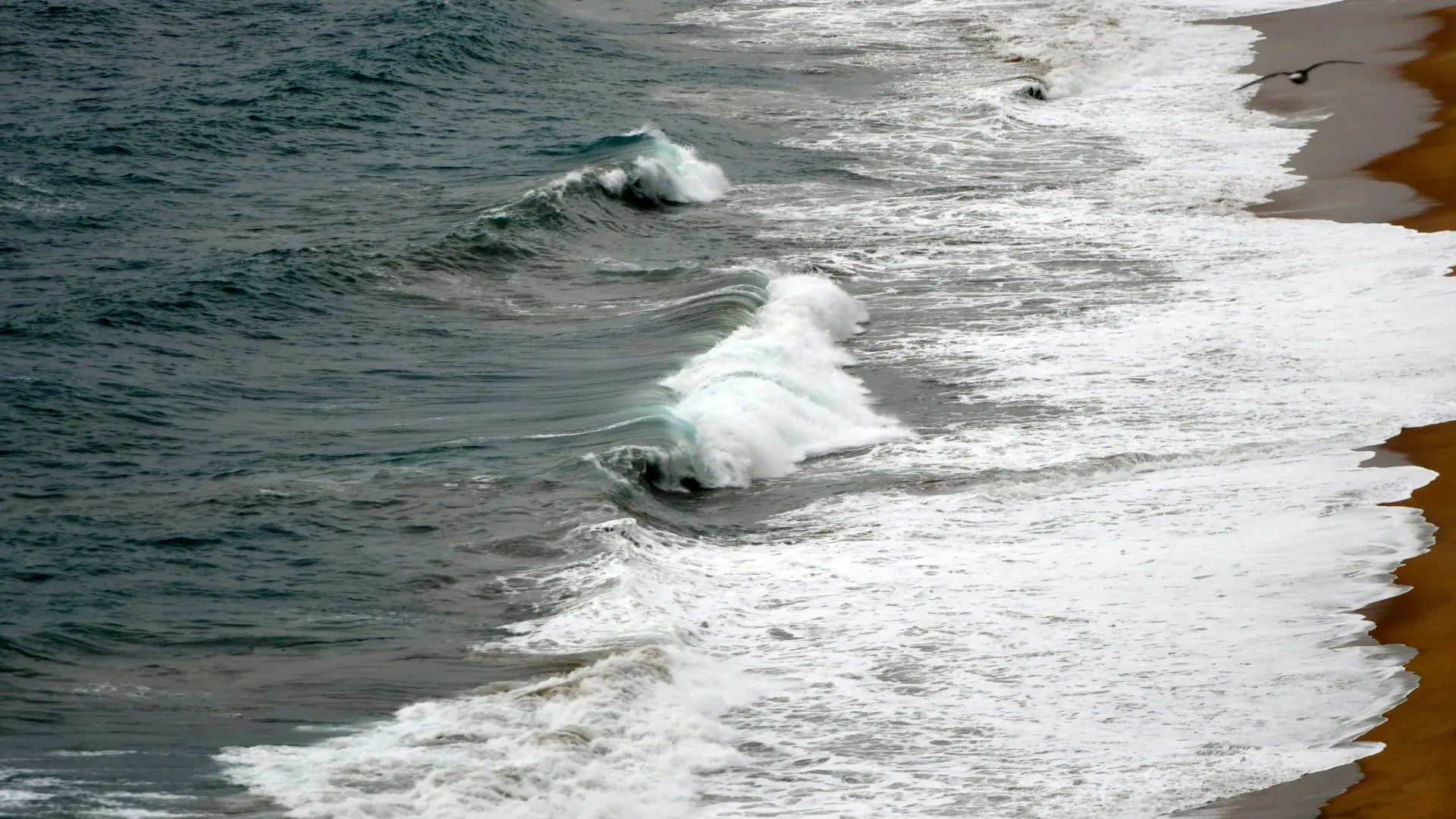 Tsunami en curso en Chile: estas son las alturas que han alcanzado las olas en las playas del país
