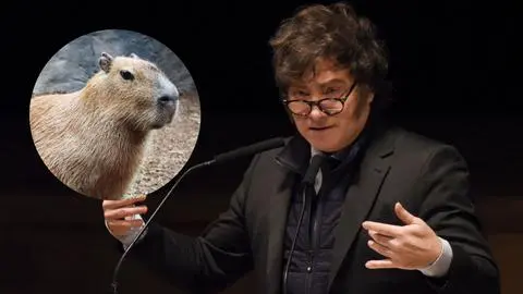 El plan de Milei para frenar la sobrepoblación de capibaras: Quiere enviarlos a una isla