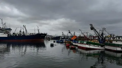 Pesca industrial recurrirá a la justicia tras promulgación de la Ley de Fraccionamiento