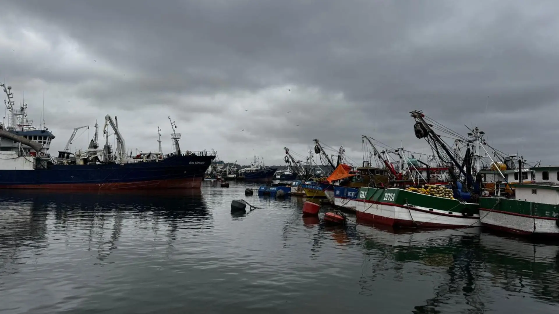 Pesca industrial recurrirá a la justicia tras promulgación de la Ley de Fraccionamiento