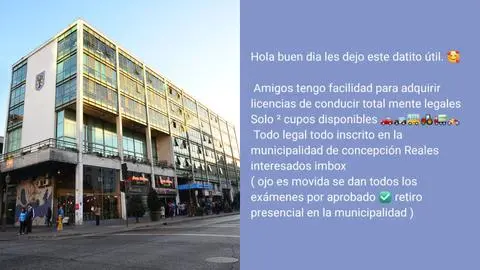 “Todo legal todo inscrito”: ‘Hackeo’ de Whatsapp de adulta mayor devela nuevo intento de venta de licencias de conducir en Concepción