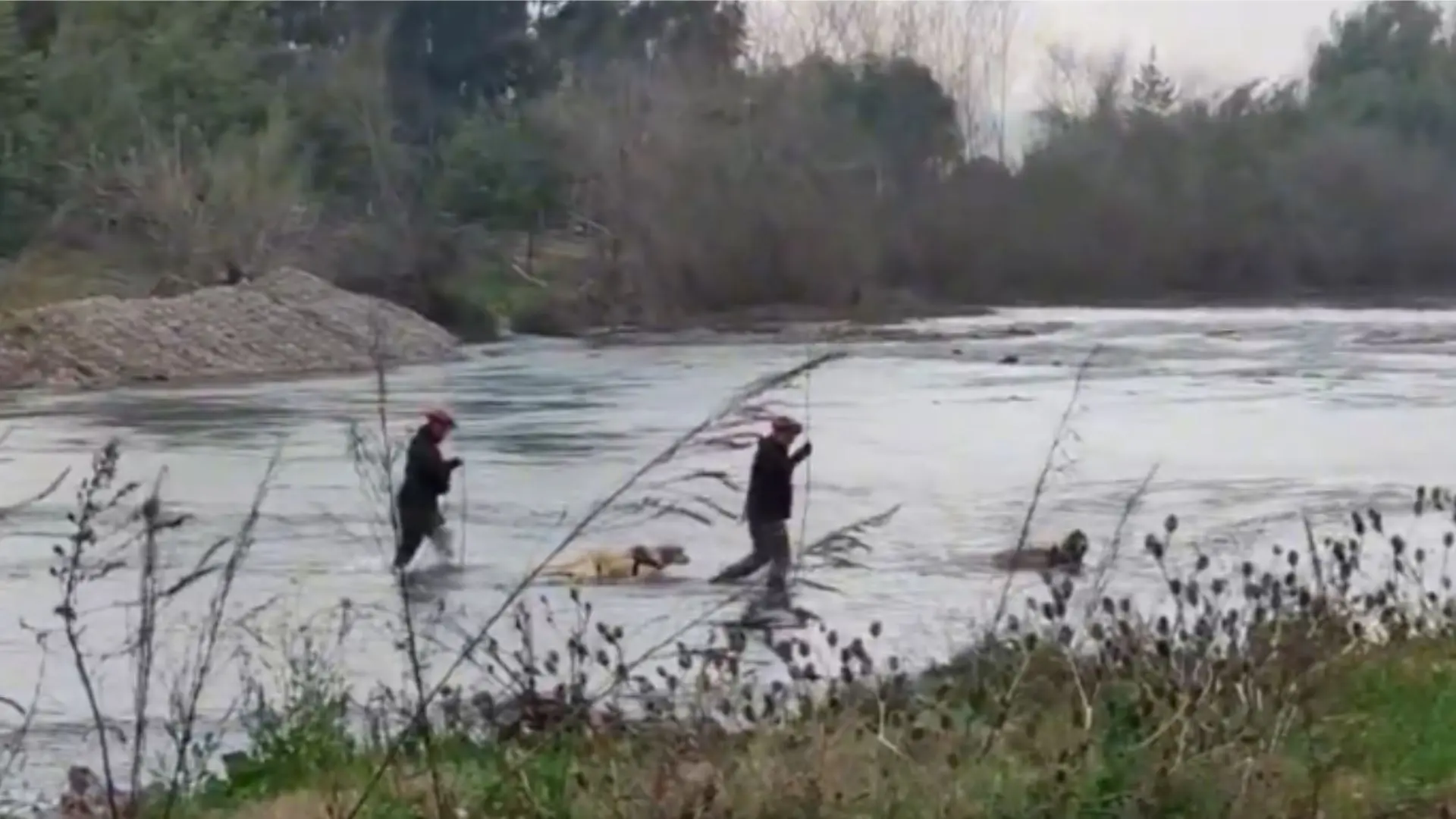 Hallan cuerpo en el río Liguay de Longaví: Investigan si se trata de padre desaparecido hace nueve días