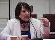 La cuestionada presentación de la ministra Delpiano en comisión investigadora del Caso Bruma