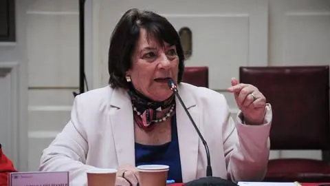 La cuestionada presentación de la ministra Delpiano en comisión investigadora del Caso Bruma