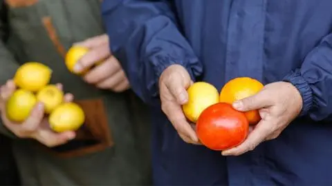 IPC se redujo en un 0,4% en junio: Alimentos, bebestibles, ropa y calzado bajaron de precio