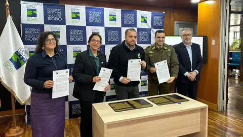 Sistema de teleprotección con IA busca integrar las cámaras del Gran Concepción y el Biobío